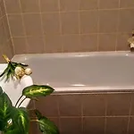 Cleopatra Budapest