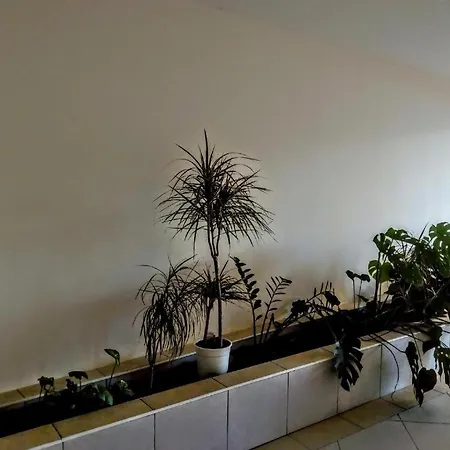 Cleopatra * Budapesta