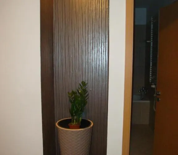 Apartman Cleopatra *